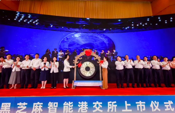 上市突围赛！黑芝麻率先登陆港交所，智驾芯片高研发角逐高算力平台